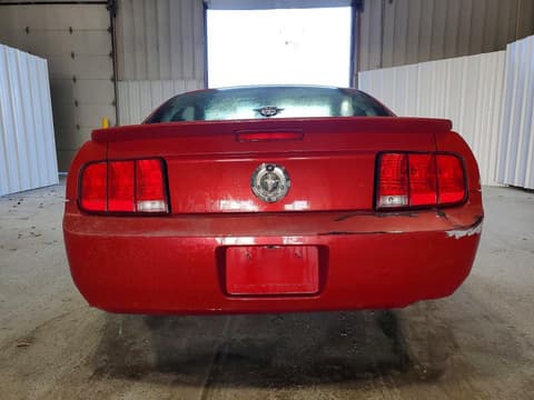 2009 Ford Mustang, VIN 1ZVHT80N695110830. Фото 6 з 6 з аукціону Copart. Каталог авто зі США OpenDataCar.