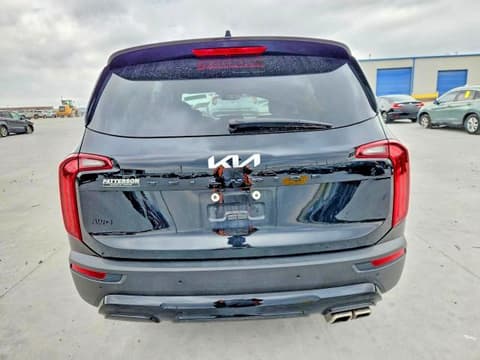 2022 Kia Telluride, VIN 5XYP5DHC8NG201734. Фото 6 з 6 з аукціону Copart. Каталог авто зі США OpenDataCar.