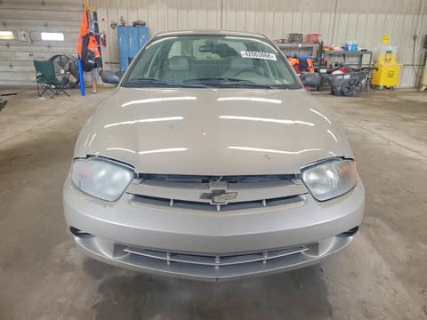 2003 Chevrolet Cavalier, VIN 1G1JC52F637161208. Фото 5 з 6 з аукціону Copart. Каталог авто зі США OpenDataCar.