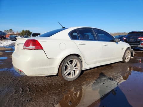 2009 Pontiac G8, VIN 6G2ER57769L156686. Фото 3 з 6 з аукціону Copart. Каталог авто зі США OpenDataCar.