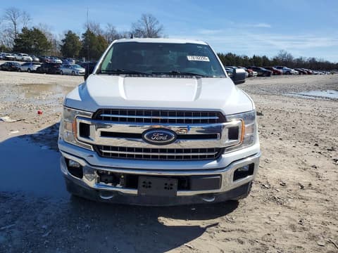 2019 Ford F-150 Lightning, VIN 1FTEW1EPXKFC32914. Zdjęcie 5 z 6 z aukcji Copart. Katalog aut z USA OpenDataCar.
