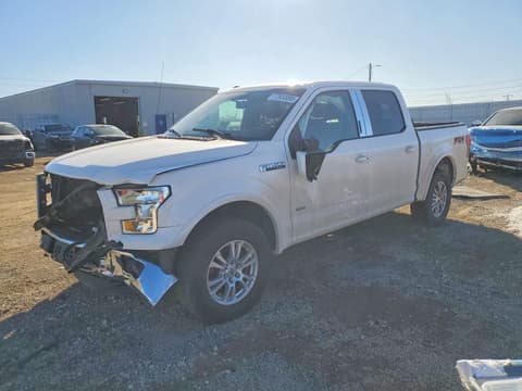 2016 Ford F-150 Lightning, VIN 1FTEW1EP0GFB67904. Zdjęcie 1 z 6 z aukcji Copart. Katalog aut z USA OpenDataCar.
