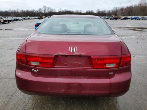 2005 Honda Accord, VIN 1HGCM56705A182143. Фото 6 из 6 с аукциона Copart. Каталог авто из США OpenDataCar.