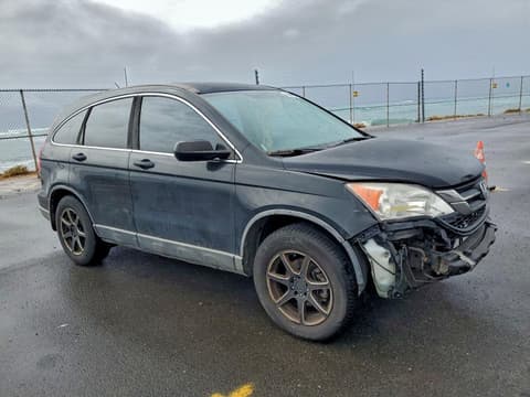 2010 Honda CR-V, VIN 5J6RE3H31AL019448. Фото 4 з 6 з аукціону Copart. Каталог авто зі США OpenDataCar.