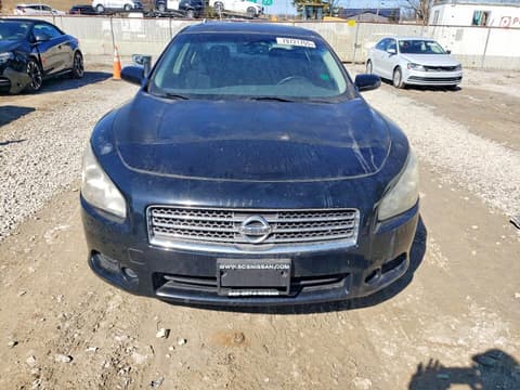 2009 Nissan Maxima, VIN 1N4AA51E09C858238. Фото 5 з 6 з аукціону Copart. Каталог авто зі США OpenDataCar.