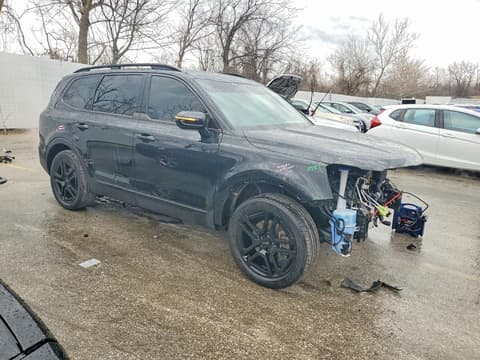 2024 Kia Telluride, VIN 5XYP5DGC2RG557684. Фото 4 з 6 з аукціону Copart. Каталог авто зі США OpenDataCar.