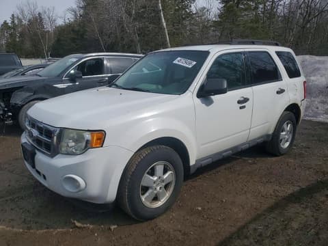 2011 Ford Escape, VIN 1FMCU0DG4BKB75685. Фото 1 з 6 з аукціону Copart. Каталог авто зі США OpenDataCar.