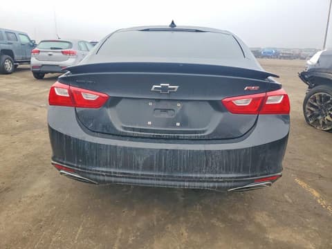 2021 Chevrolet Malibu, VIN 1G1ZG5ST5MF051593. Фото 6 з 6 з аукціону Copart. Каталог авто зі США OpenDataCar.