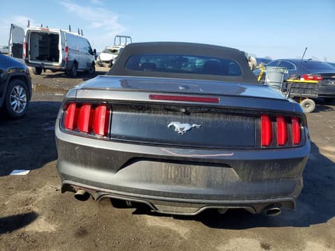 2017 Ford Mustang, VIN 1FATP8UH8H5303152. Фото 6 з 6 з аукціону Copart. Каталог авто зі США OpenDataCar.