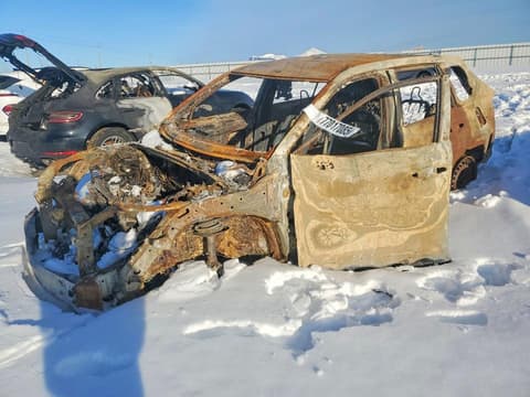 2024 Toyota RAV4, VIN 2T3B1RFV6RC441557. Фото 1 з 6 з аукціону Copart. Каталог авто зі США OpenDataCar.