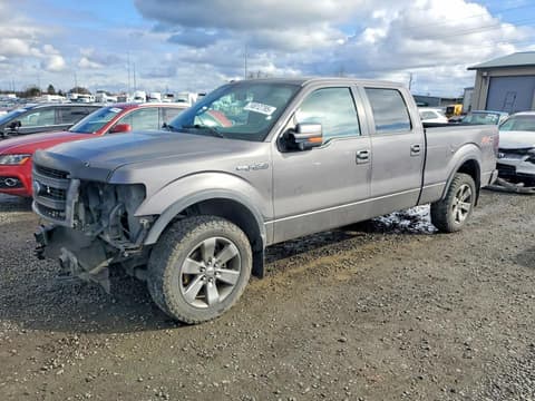 2013 Ford F-150 Lightning, VIN 1FTFW1EF3DKD66993. Фото 1 з 6 з аукціону Copart. Каталог авто зі США OpenDataCar.