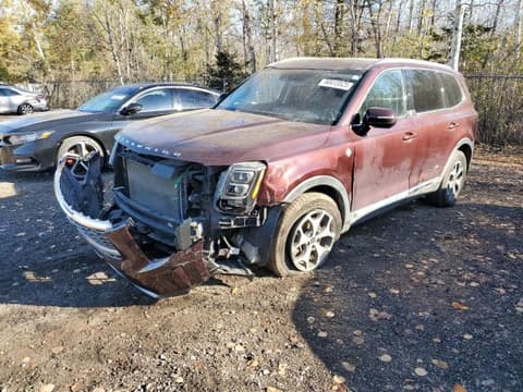 2020 Kia Telluride, VIN 5XYP3DHC6LG014267. Фото 1 з 6 з аукціону Copart. Каталог авто зі США OpenDataCar.
