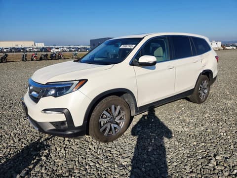 2019 Honda Pilot, VIN 5FNYF6H56KB063404. Фото 1 з 6 з аукціону Copart. Каталог авто зі США OpenDataCar.