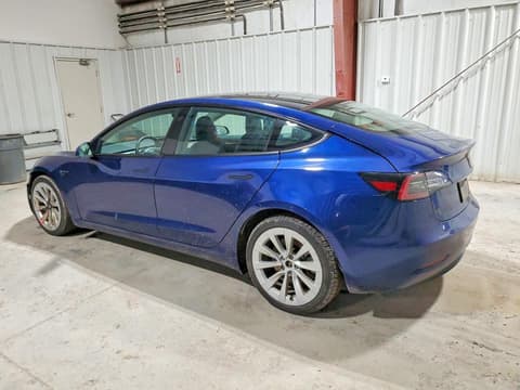 2023 Tesla Model 3, VIN 5YJ3E1EA9PF446813. Фото 2 з 6 з аукціону Copart. Каталог авто зі США OpenDataCar.