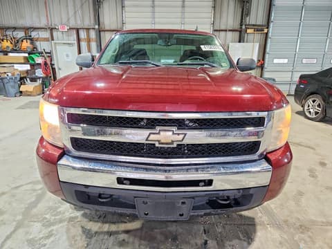 2009 Chevrolet Silverado, VIN 1GCEK19CX9Z181930. Фото 5 з 6 з аукціону Copart. Каталог авто зі США OpenDataCar.