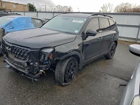 2024 Kia Telluride, VIN 5XYP3DGC1RG496866. Фото 1 з 6 з аукціону Copart. Каталог авто зі США OpenDataCar.