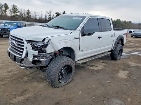 2016 Ford F-150 Lightning, VIN 1FTEW1EP1GFD35176. Фото 1 з 6 з аукціону Copart. Каталог авто зі США OpenDataCar.
