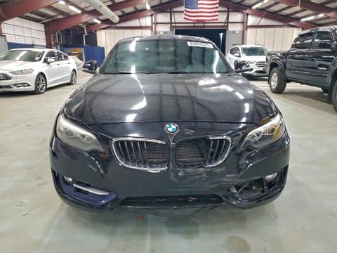 2016 Bmw 2 Series, VIN WBA1G9C51GV599786. Фото 5 з 6 з аукціону Copart. Каталог авто зі США OpenDataCar.