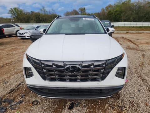 2023 Hyundai Tucson, VIN 5NMJECAE9PH211564. Фото 5 з 6 з аукціону Copart. Каталог авто зі США OpenDataCar.