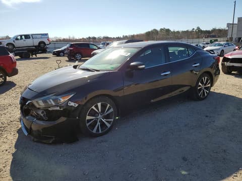 2017 Nissan Maxima, VIN 1N4AA6AP3HC393301. Фото 1 з 6 з аукціону Copart. Каталог авто зі США OpenDataCar.
