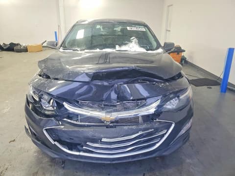2023 Chevrolet Malibu Limited, VIN 1G1ZD5ST3PF183460. Фото 5 з 6 з аукціону Copart. Каталог авто зі США OpenDataCar.