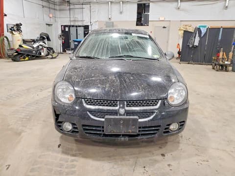 2003 Dodge Neon, VIN 1B3ES56C43D259152. Фото 5 из 6 с аукциона Copart. Каталог авто из США OpenDataCar.