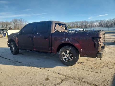 2016 Ford F-150 Lightning, VIN 1FTEW1EPXGKD75683. Zdjęcie 2 z 6 z aukcji Copart. Katalog aut z USA OpenDataCar.