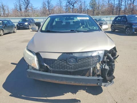 2010 Toyota Corolla, VIN 2T1BU4EE7AC344005. Фото 5 з 6 з аукціону Copart. Каталог авто зі США OpenDataCar.