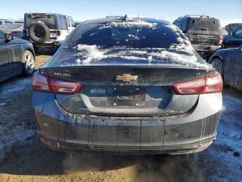 2019 Chevrolet Malibu Limited, VIN 1G1ZD5ST6KF157556. Фото 6 з 6 з аукціону Copart. Каталог авто зі США OpenDataCar.