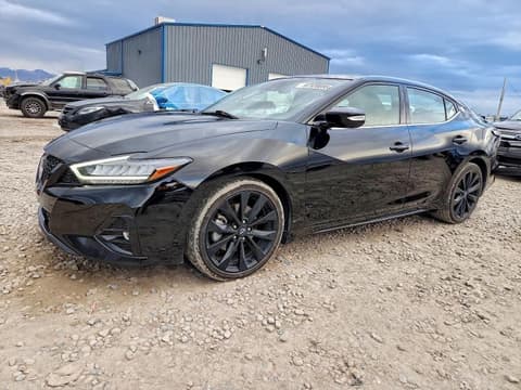 2023 Nissan Maxima, VIN 1N4AA6EV5PC505314. Фото 1 з 6 з аукціону Copart. Каталог авто зі США OpenDataCar.