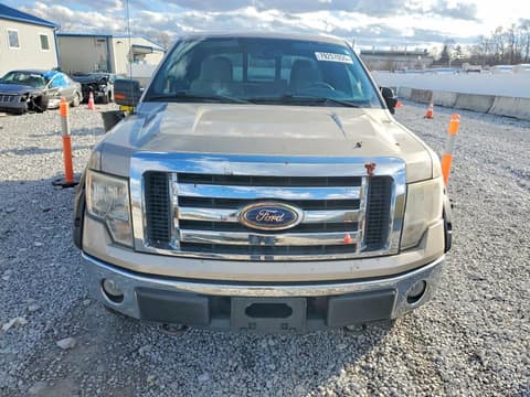 2010 Ford F-150, VIN 1FTFX1EVXAFA50130. Фото 5 з 6 з аукціону Copart. Каталог авто зі США OpenDataCar.