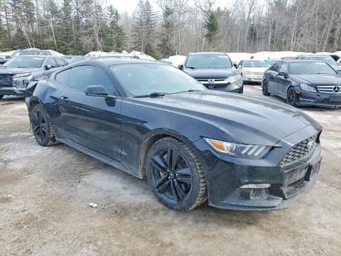 2017 Ford Mustang, VIN 1FA6P8THXH5303510. Фото 4 з 6 з аукціону Copart. Каталог авто зі США OpenDataCar.