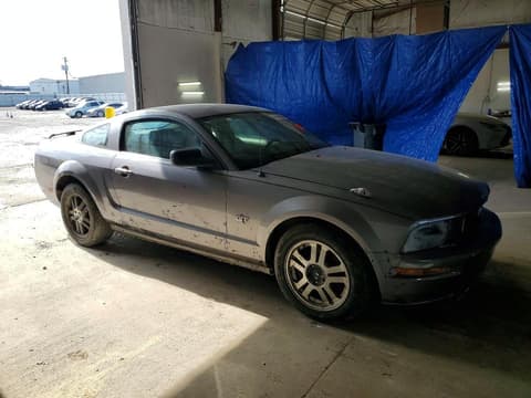 2006 Ford Mustang, VIN 1ZVFT82HX65196816. Фото 4 з 6 з аукціону Copart. Каталог авто зі США OpenDataCar.