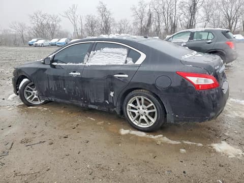 2010 Nissan Maxima, VIN 1N4AA5AP4AC850455. Фото 2 з 6 з аукціону Copart. Каталог авто зі США OpenDataCar.