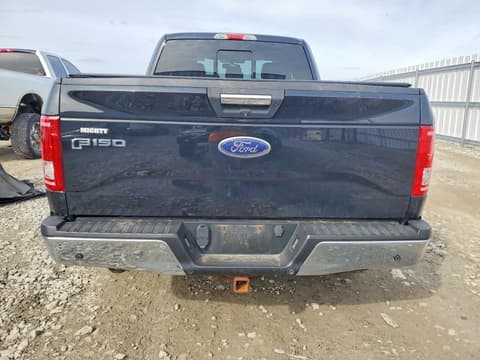 2016 Ford F-150, VIN 1FTEX1EP0GFD20276. Фото 6 з 6 з аукціону Copart. Каталог авто зі США OpenDataCar.