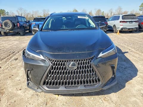 2025 Lexus NX, VIN 2T2GDCAZ4SC019415. Фото 5 из 6 с аукциона Copart. Каталог авто из США OpenDataCar.