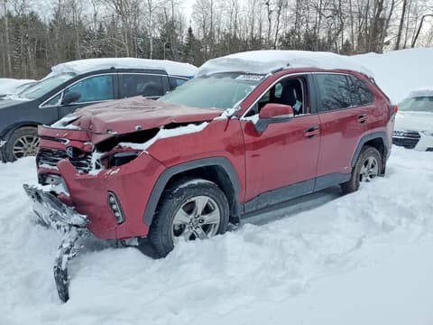 2023 Toyota RAV4, VIN 2T3RWRFV3PW166595. Фото 1 з 6 з аукціону Copart. Каталог авто зі США OpenDataCar.