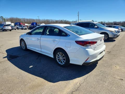 2019 Hyundai Sonata, VIN 5NPE24AF7KH745828. Фото 2 з 6 з аукціону Copart. Каталог авто зі США OpenDataCar.