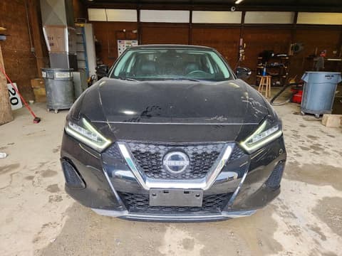 2023 Nissan Maxima, VIN 1N4AA6CV8PC511353. Фото 5 з 6 з аукціону Copart. Каталог авто зі США OpenDataCar.