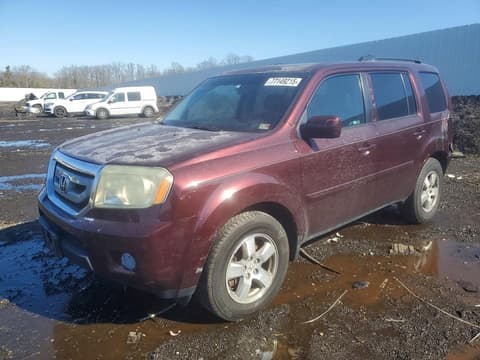 2011 Honda Pilot, VIN 5FNYF4H52BB050783. Фото 1 з 6 з аукціону Copart. Каталог авто зі США OpenDataCar.
