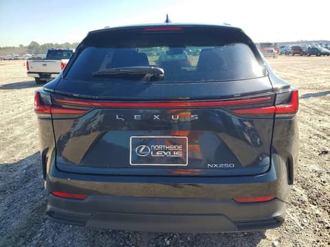 2025 Lexus NX, VIN 2T2GDCAZ4SC019415. Фото 6 из 6 с аукциона Copart. Каталог авто из США OpenDataCar.