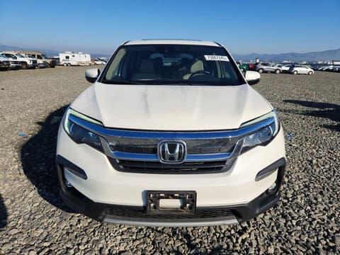 2019 Honda Pilot, VIN 5FNYF6H56KB063404. Фото 5 з 6 з аукціону Copart. Каталог авто зі США OpenDataCar.