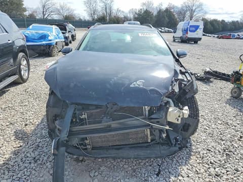 2016 Volkswagen Golf SportWagen, VIN 3VWA17AU7GM504318. Фото 5 з 6 з аукціону Copart. Каталог авто зі США OpenDataCar.