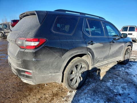 2024 Honda Pilot, VIN 5FNYG1H86RB500306. Фото 3 з 6 з аукціону Copart. Каталог авто зі США OpenDataCar.