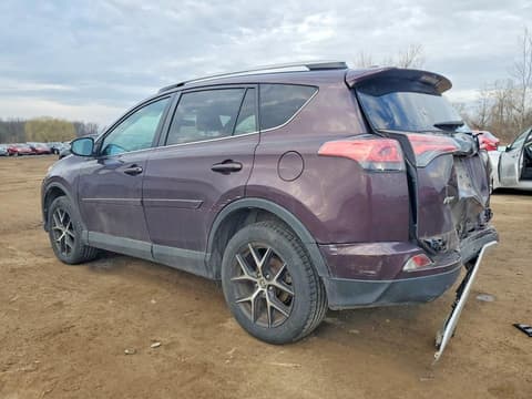 2016 Toyota RAV4, VIN 2T3JFREV5GW509051. Фото 2 з 6 з аукціону Copart. Каталог авто зі США OpenDataCar.