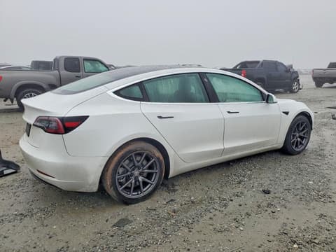 2020 Tesla Model 3, VIN 5YJ3E1EA1LF797175. Фото 3 з 6 з аукціону Copart. Каталог авто зі США OpenDataCar.