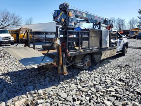 2020 Ford F-550 Super Duty, VIN 1FDUF5HT6LDA08978. Фото 4 из 6 с аукциона Copart. Каталог авто из США OpenDataCar.