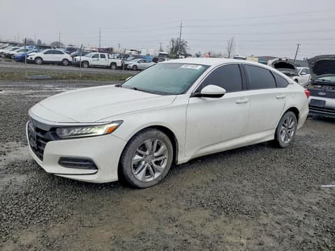 2019 Honda Accord, VIN 1HGCV1F13KA125948. Zdjęcie 1 z 6 z aukcji Copart. Katalog aut z USA OpenDataCar.