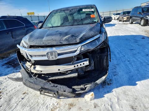 2019 Honda Pilot, VIN 5FNYF6H58KB100257. Фото 5 з 6 з аукціону Copart. Каталог авто зі США OpenDataCar.