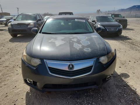 2011 Acura TSX, VIN JH4CU2F69BC012611. Фото 5 з 6 з аукціону Copart. Каталог авто зі США OpenDataCar.